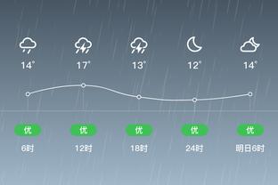 ray雷雷竞技截图4